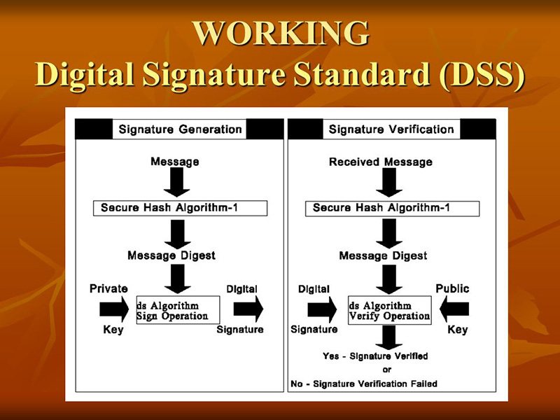 digital signature standard