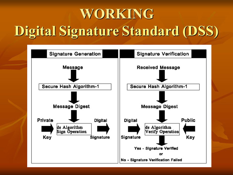 What Is Digital Signature Algorithm And Digital Signature Standard