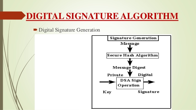 digital signature algorithm